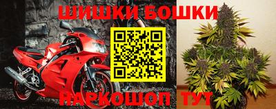 ГАЛЛЮЦИНОГЕННЫЕ ГРИБЫ Кулебаки