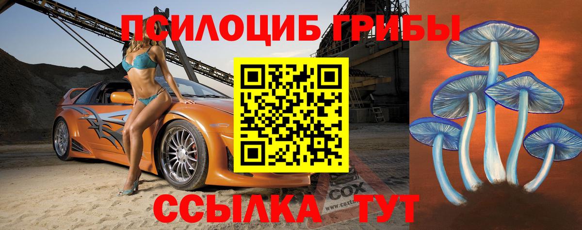Псилоцибиновые грибы прущие грибы Канаш