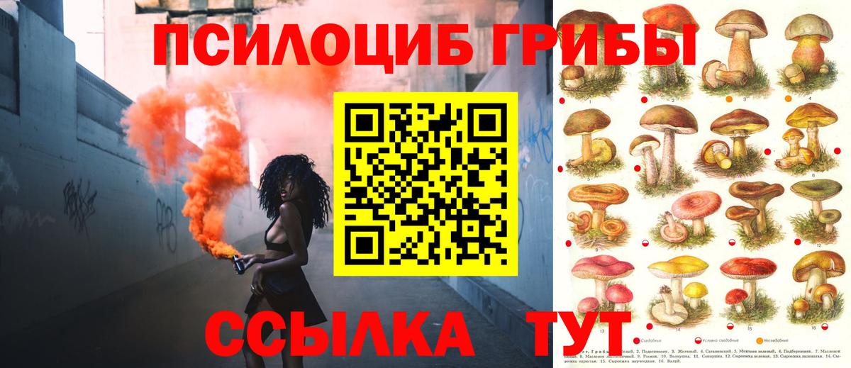 Псилоцибиновые грибы прущие грибы  Псилоцибиновые грибы Psilocybe  Канаш  Вход с VPN 